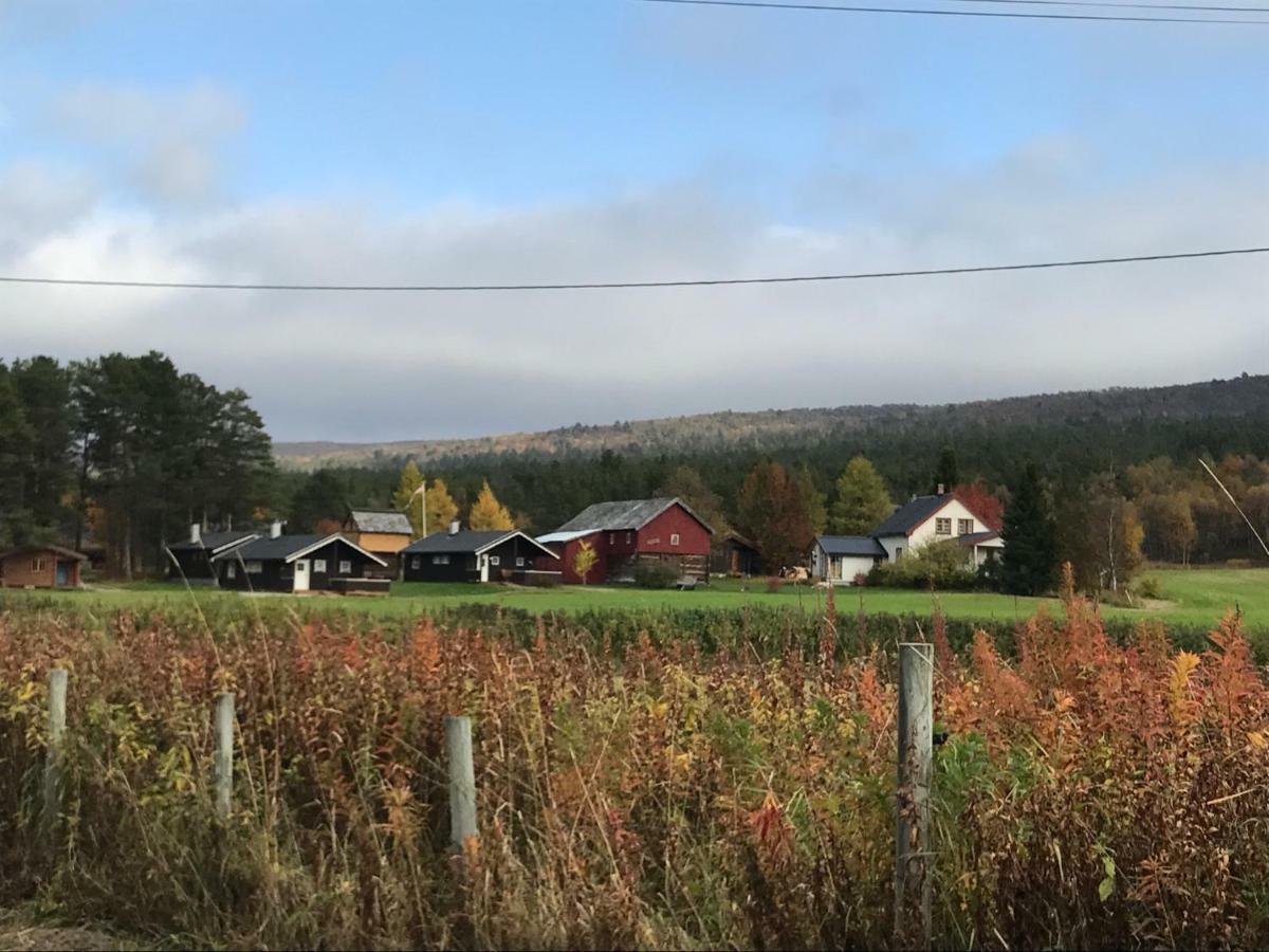 Roste Hyttetun Og Camping Os (Hedmark) Exterior photo