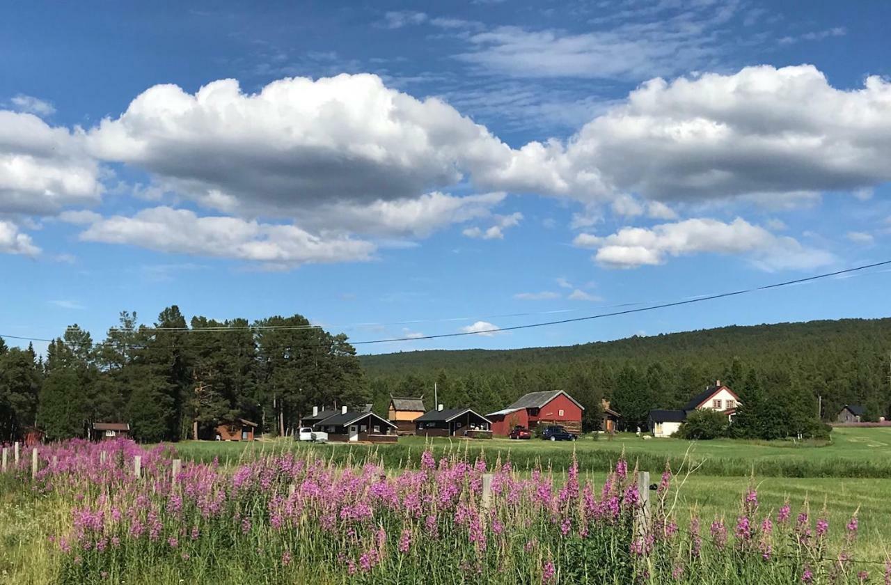 Roste Hyttetun Og Camping Os (Hedmark) Exterior photo